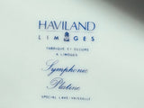 Haviland "Symphonie Platine" China Set