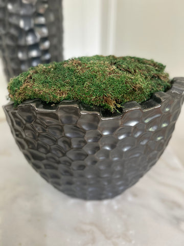 Accessory - Vase with Moss