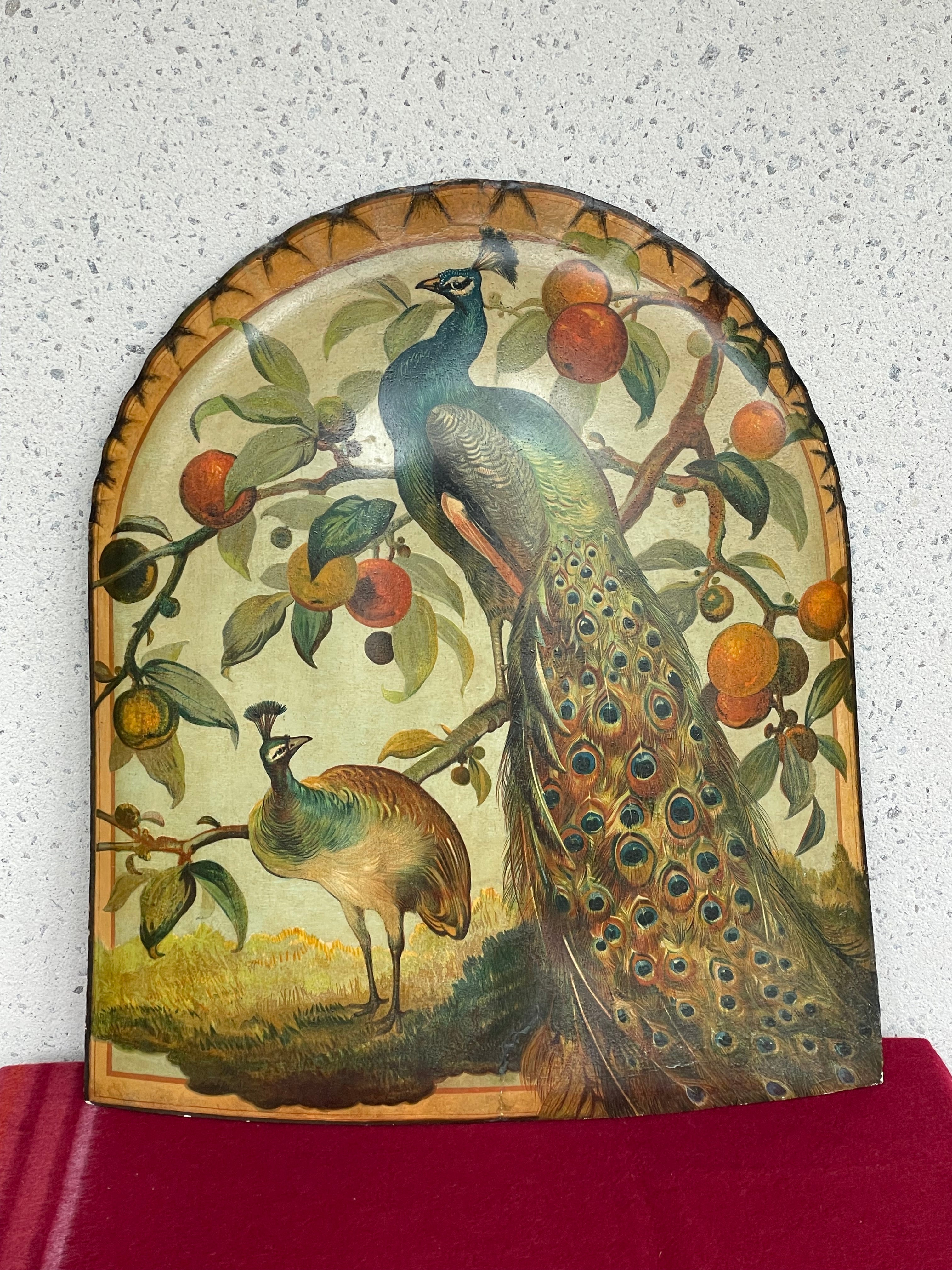Vintage “Ecran de Cheminée” Peacock Fireplace Screen