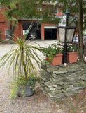 Gallery images