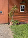 Gallery images
