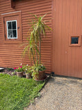 Gallery images