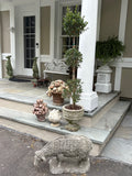Gallery images