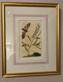 Gallery images