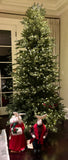 Gallery images
