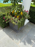 Gallery images