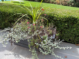 Gallery images